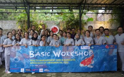 Basic Workshop: Health Management and Diagnostic Approach for Ornamental Fish