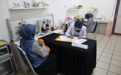 Pelaksanaan Try Out OSCE di SKHB IPB University