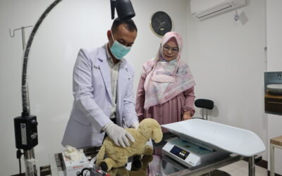 Sukses Selenggarakan Pelaksanaan Ujian OSCE Pertama untuk Sekolah Kedokteran Hewan dan Biomedis IPB University