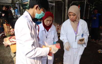 SKHB Layani Masyarakat dengan Pemeriksaan Kesehatan Hewan dan Daging Kurban pada Idul Adha 1446H