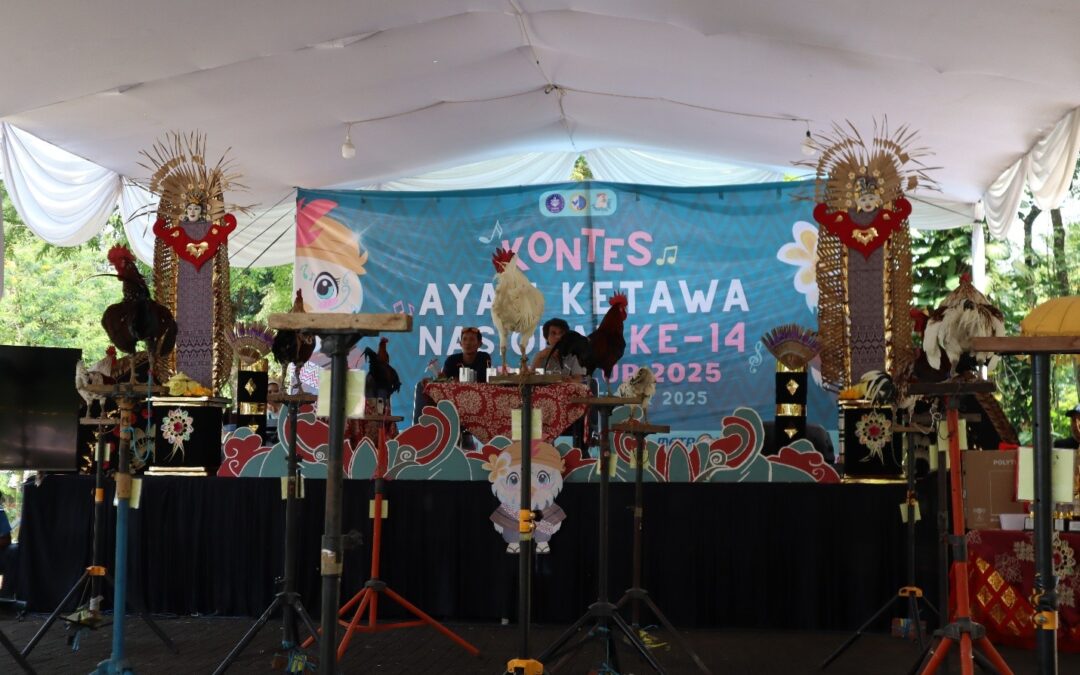 Kontes Ayam Ketawa Nasional ke-14 2025 : “Dari Timur Terdengar Tawa: Suara Merdu Pemersatu Nusantara”
