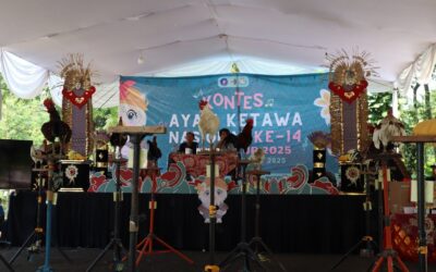 Kontes Ayam Ketawa Nasional ke-14 2025 : “Dari Timur Terdengar Tawa: Suara Merdu Pemersatu Nusantara”