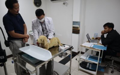 Pelaksanaan Ujian OSCE Mahasiswa PPDH Periode I Tahun Ajaran 2024/ 2025 Sekolah Kedokteran Hewan dan Biomedis IPB University