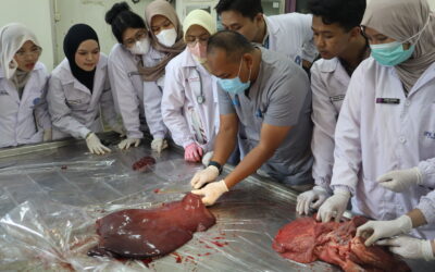 451 Mahasiswa SKHB IPB Siap Kawal Kurban Idul Adha 2026, Pastikan Daging Aman dan Halal