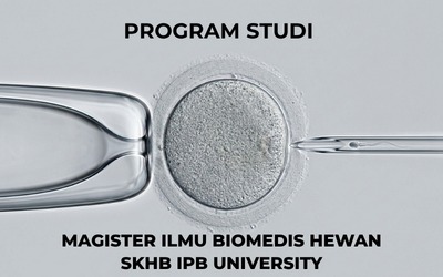 magister skhb
